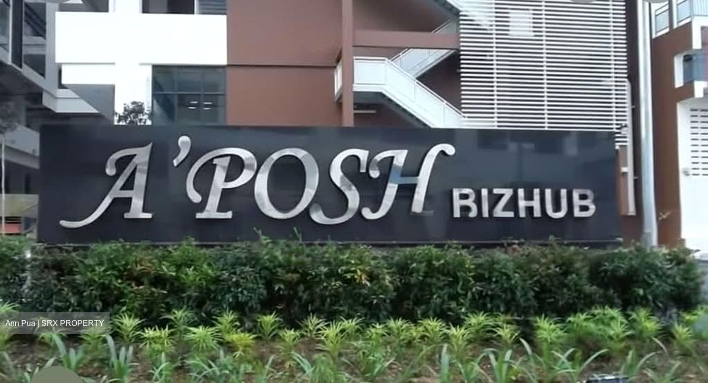 A'posh Bizhub (D27), Factory #558764181